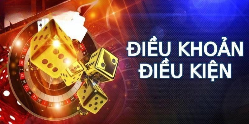 Điều kiện điều khoản Các Điều Kiện Điều Khoản Quan Trọng Của Net88